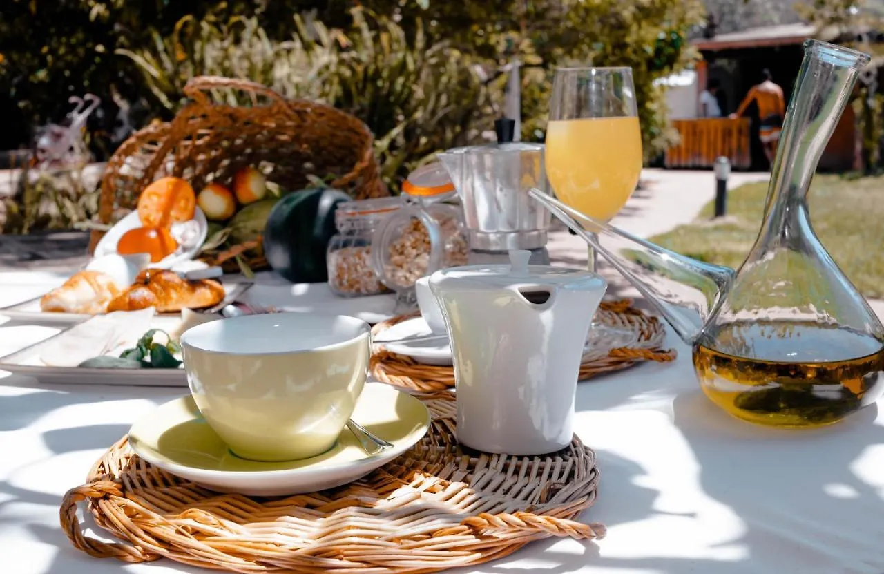 Farm stay Agroturismo Can Pere Sord Sant Joan De Labritja
