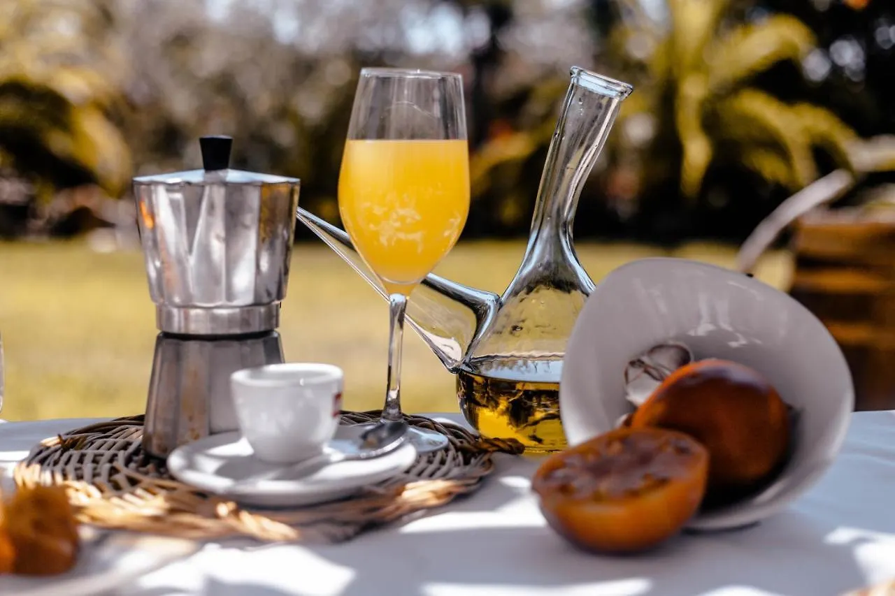 Farm stay Agroturismo Can Pere Sord Sant Joan De Labritja Spain